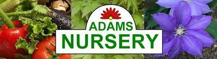 Adams Nursery.jpg