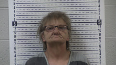 Mugshot of PRESELY, KIMBERLY