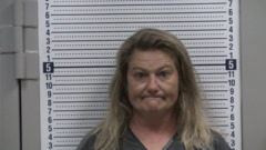Mugshot of WHITLOW, MISTY