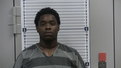 Mugshot of KNOWLES, ARLANDEZ