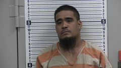 Mugshot of KOBAIA, MICHAEL