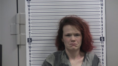 Mugshot of WALKER, BRITTANY