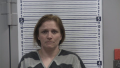 Mugshot of BLEVINS, KASSONDRA