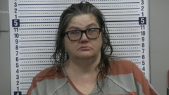 Mugshot of JOHNSON, JENNIFER