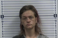 Mugshot of LEJUENE, CELIA