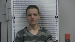Mugshot of COLLINS, AVA