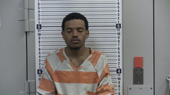 Mugshot of ROY, JAVIAN