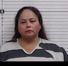Mugshot of HERNANDEZ, ELIZABET