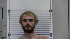 Mugshot of WILKINS, JAKE