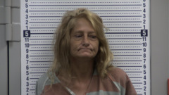 Mugshot of SLEETH, TAMMY