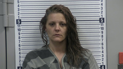 Mugshot of ANDREWS, WILMA