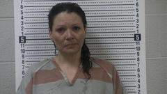 Mugshot of HOLTSCLAW, GAIL  
