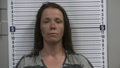 Mugshot of ELLIS, JILLIAN