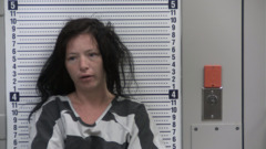Mugshot of HERRON, SHANNON