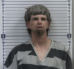 Mugshot of MORGAN, JAMES