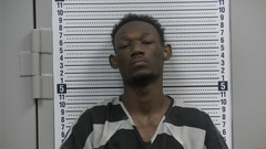 Mugshot of BROWNLEE, MARIELLE