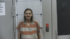Mugshot of HOWARD, DARLENE