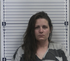 Mugshot of COLLIER, JESSICA