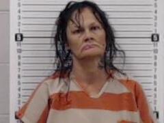 Mugshot of JOHNSTON, CHERYL