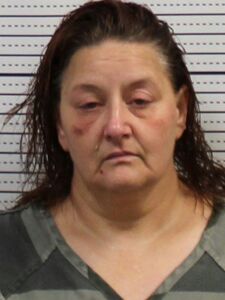 Mugshot of COLLINS, NATALIE