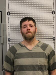 Mugshot of HARPER, ADAM