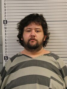 Mugshot of GIBSON, LEONARD