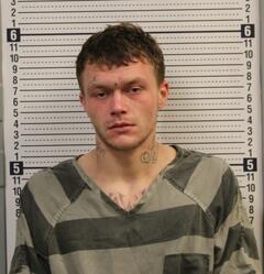 Mugshot of MOSLANDER, TYLER