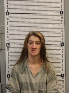 Mugshot of JOHNSON, COURTNEY