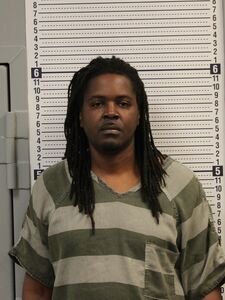 Mugshot of ANKSTON, ROBERT