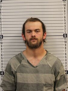 Mugshot of MILLER, SEAN