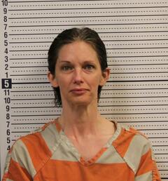 Mugshot of HARRIS, BRITTANY