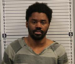 Mugshot of JACKSONS, DENZEL