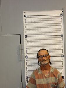 Mugshot of LEONARD, PAUL