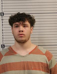 Mugshot of NELSON, CHRISTIAN