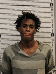 Mugshot of MCCLENTON, NICHOLAS
